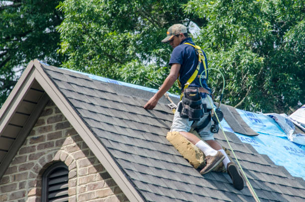 Best Roof Repair Services  in USA